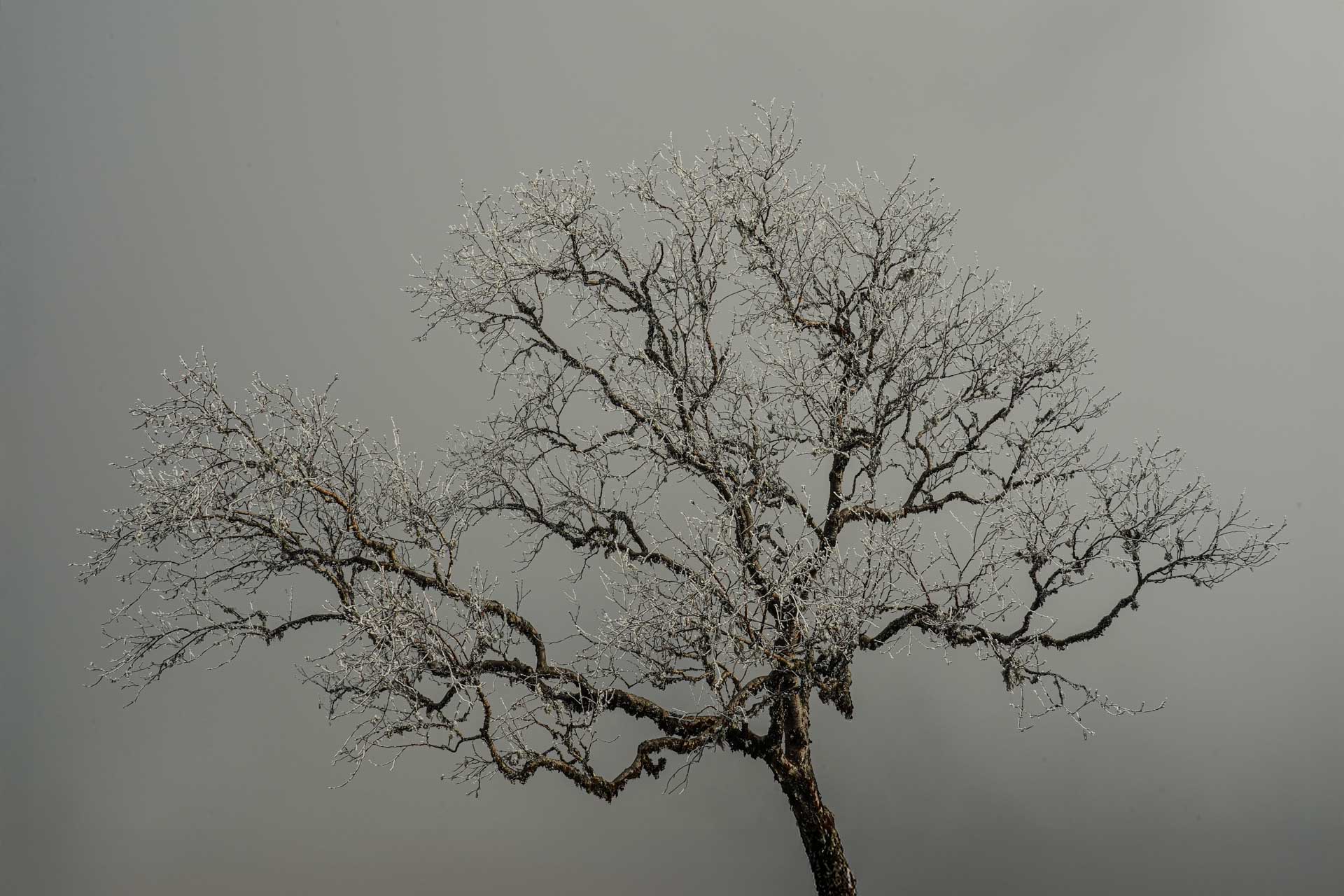 Antoine Masure photography