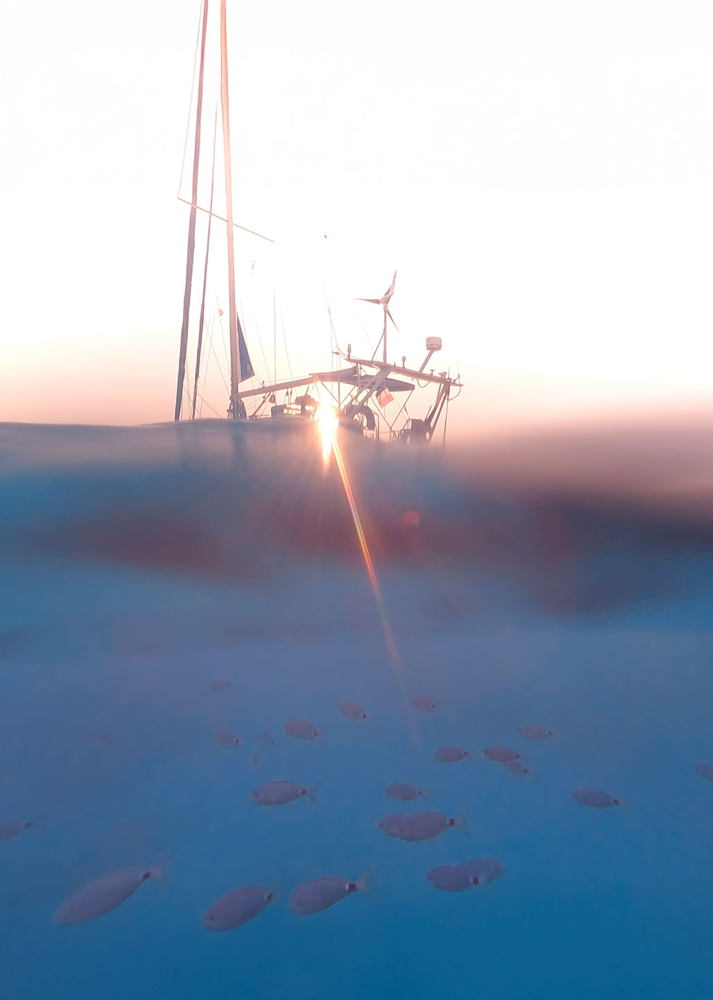 Voilier et poissons Corse – photographie aquatique